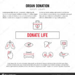 Organ Donation Template — Stock Vector © Julia Khimich Inside Organ Donor Card Template