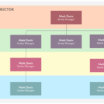 Organogram Template – You Can Edit This Template And Create In Company Organogram Template Word