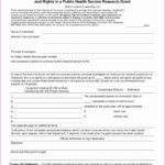 Patient Care Report Examples | Glendale Community Regarding Patient Care Report Template