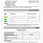 Performance Test Report Template Word Excel Daily Format Regarding Hse Report Template