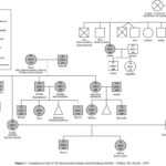 Pindee On Design | Social Work Practice, Family Therapy Inside Family Genogram Template Word