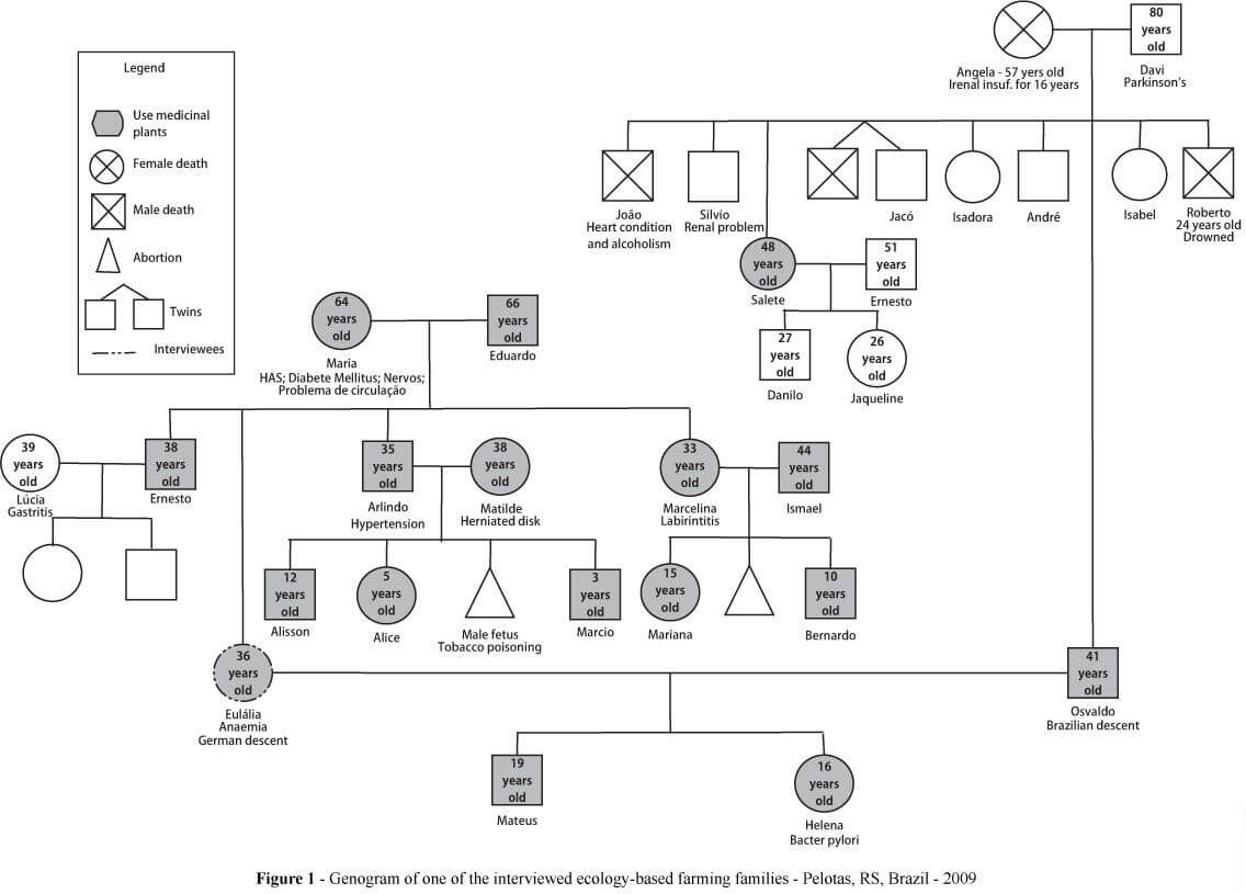 Pindee On Design | Social Work Practice, Family Therapy Inside Family Genogram Template Word