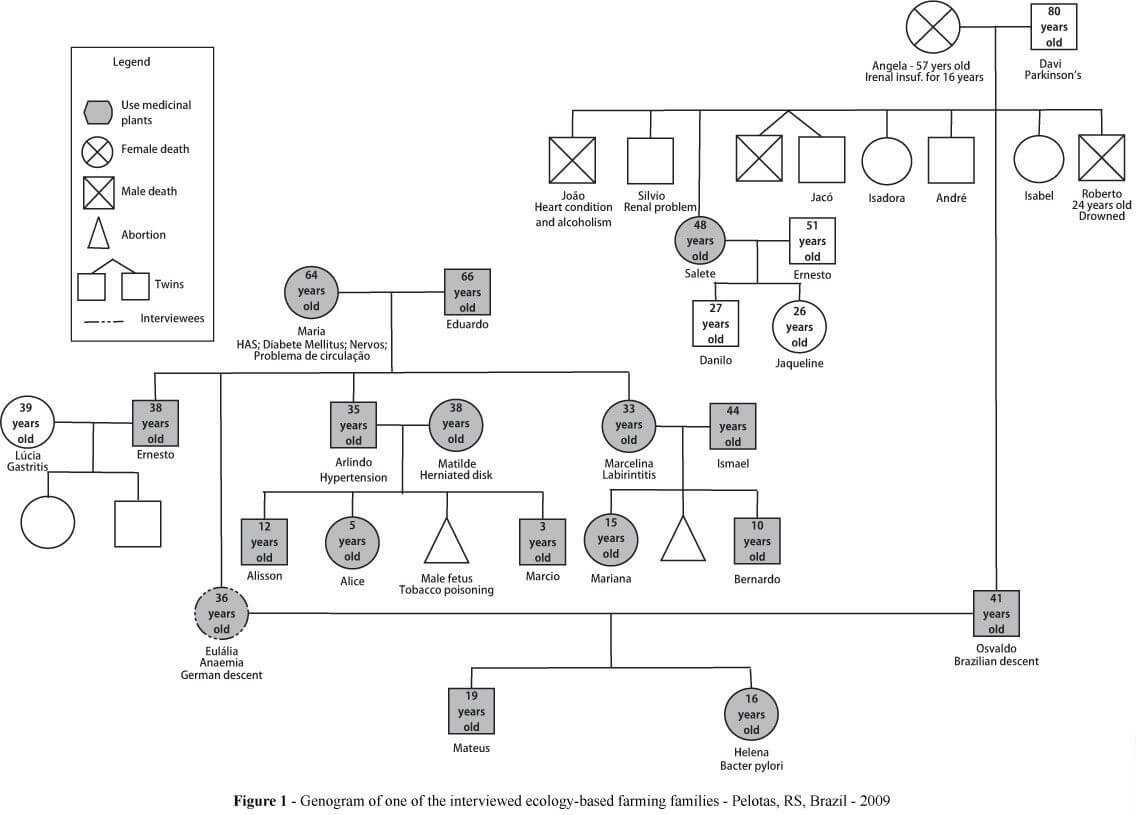 Pindee On Design | Social Work Practice, Family Therapy Pertaining To Genogram Template For Word