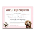 Pink Goldendoodle Birth Certificate | Animal Certificates Regarding Pet Adoption Certificate Template