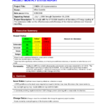 Pinlesedi Matlholwa On Templates | Progress Report In One Page Project Status Report Template