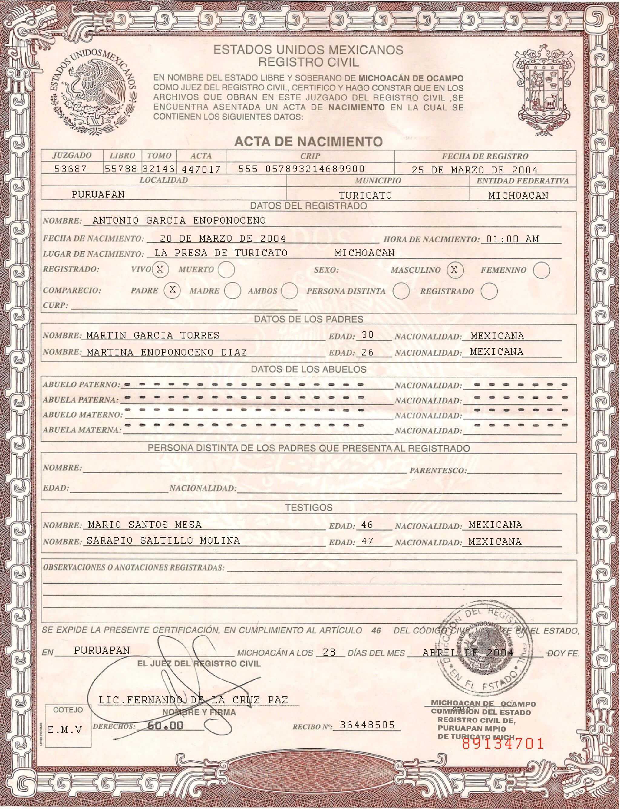 Pinrandy S On Docs In 2019 | Birth Certificate Template for Novelty Birth Certificate Template