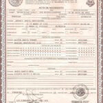 Pinrandy S On Docs In 2019 | Birth Certificate Template With Baby Death Certificate Template