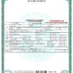 Pinterest Pertaining To Novelty Birth Certificate Template