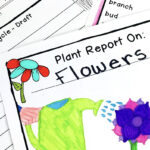 Plant Research Project – Report Writing Templates Pertaining To Research Project Report Template