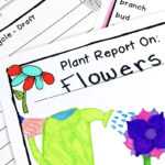 Plant Research Project – Report Writing Templates Pertaining To Research Project Report Template