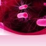 Powerpoint Bacteria Templates For Powerpoint Presentations For Virus Powerpoint Template Free Download
