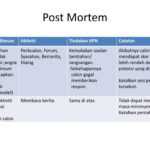 Ppt – Post Mortem Powerpoint Presentation – Id:5066769 With Regard To Post Mortem Template Powerpoint