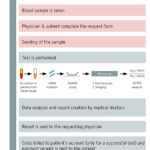 Pregnancy Ultrasound Report Sample Harmonya C2 Ae Test Inside Dr Test Report Template