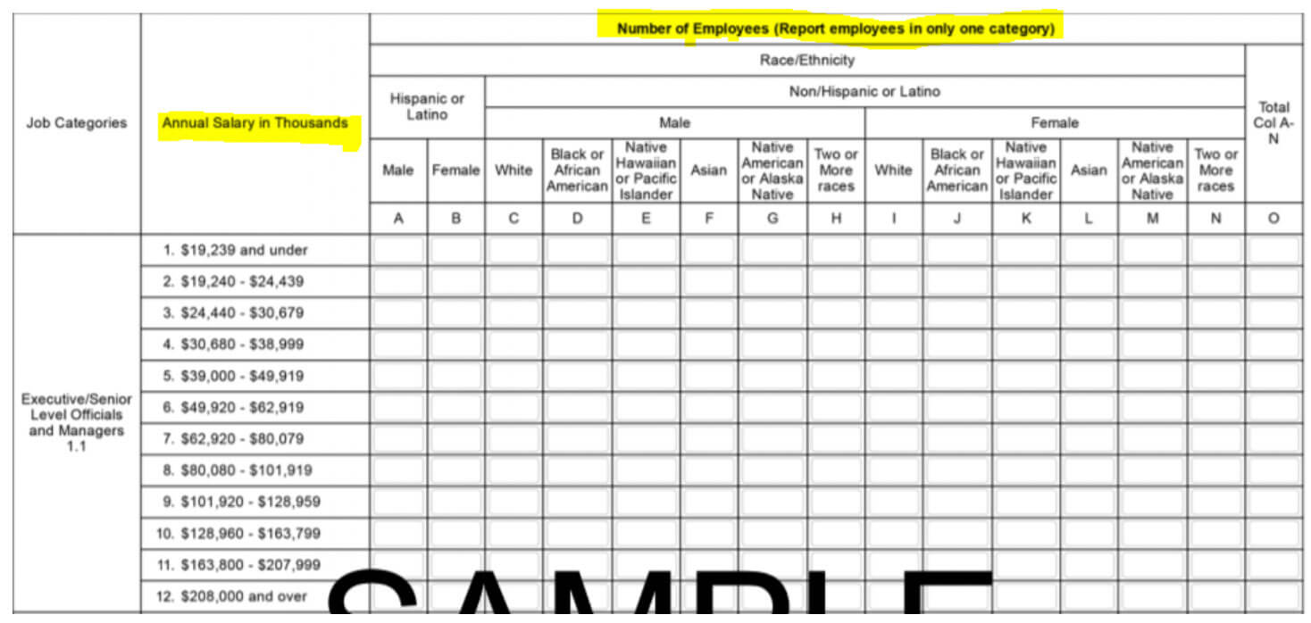 Prepare Now For Next Eeo 1 Component Throughout Eeo 1 Report Template