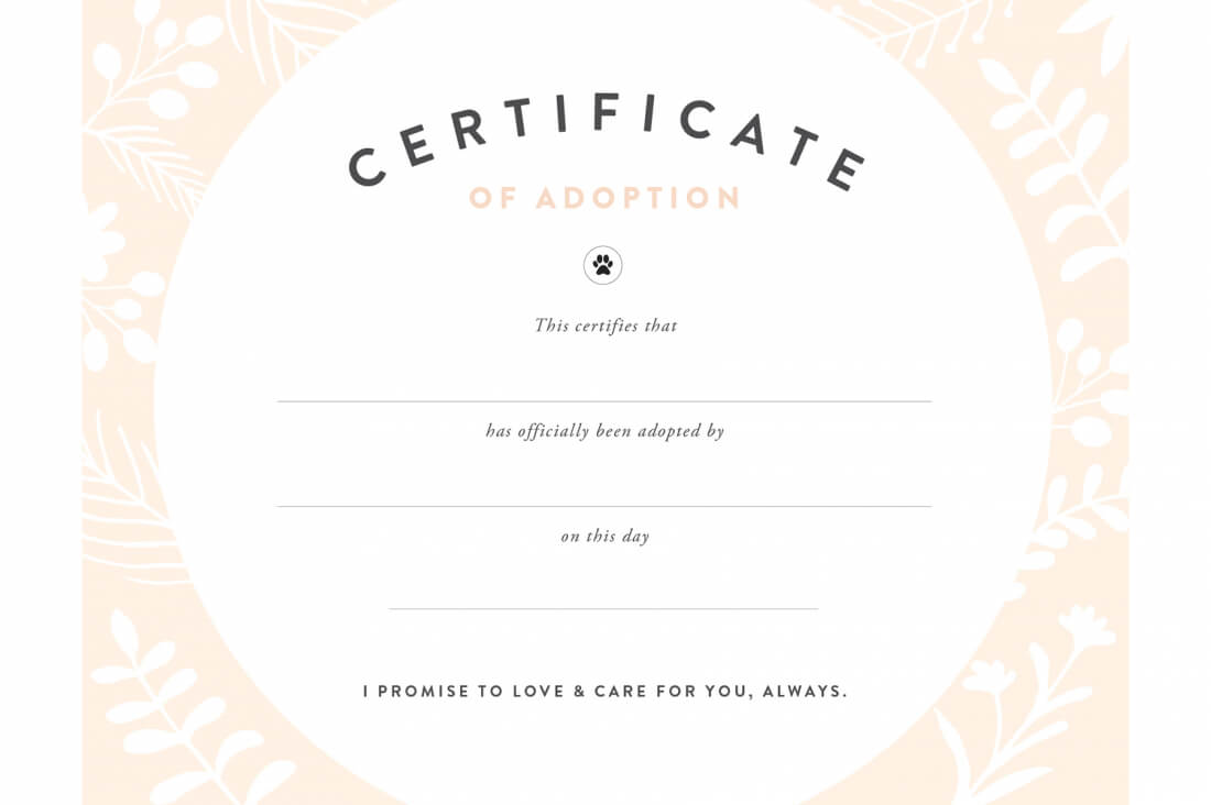 Pretty Fluffy Inside Blank Adoption Certificate Template