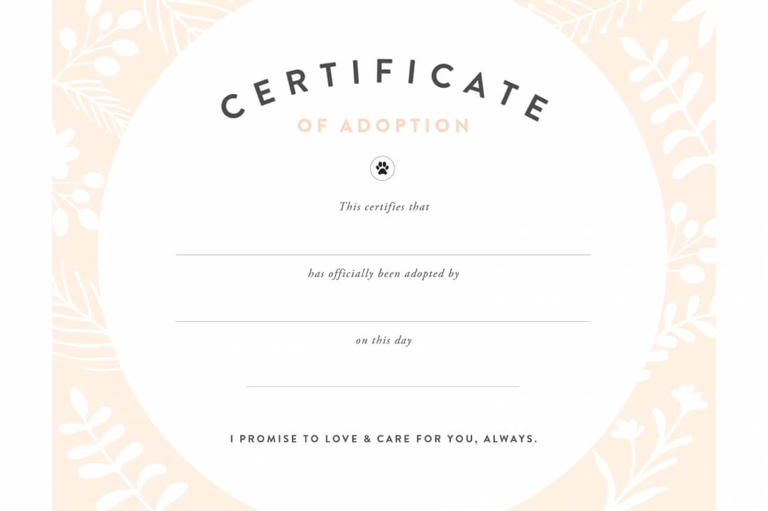 Pretty Fluffy Intended For Child Adoption Certificate Template