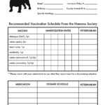 Printable Dog Shot Record Forms | Cute Pets | Dog Shots, Dog Throughout Dog Grooming Record Card Template