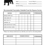 Printable Dog Shot Record Forms | Cute Pets | Dog Shots, Dog Throughout Dog Vaccination Certificate Template