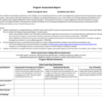 Program Assessment Report Template in Data Quality Assessment Report Template