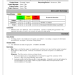 Program Management Reporting Templates Schedule Template Intended For Deviation Report Template