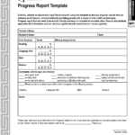 Progress Report Template | Progress Report Template - Pdf regarding It Progress Report Template