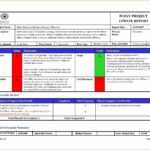 Project Daily Status Report Template Cel Monthly Progress With Project Daily Status Report Template