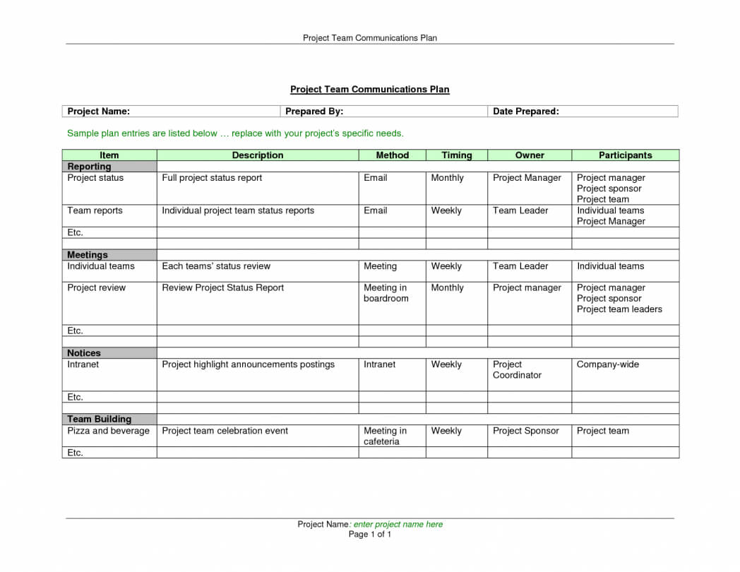 Project Management Overview Template Plan Doc Executive Regarding Post Project Report Template