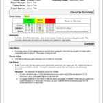 Project Management. Project Management Report Template Intended For Simple Project Report Template