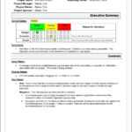 Project Management Report Sample Portfolio Smorad Conclusion With Regard To Portfolio Management Reporting Templates