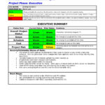 Project Management Template Status Report Excel Word Free Throughout Project Management Status Report Template