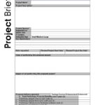 Project Template Sample Schedule Download Brief Bonsai Plan With Regard To Report To Senior Management Template