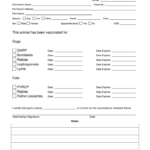 Proof Vaccination Dog – Fill Online, Printable, Fillable With Certificate Of Vaccination Template