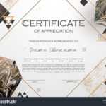 Qualification Certificate Of Appreciation Design. Elegant With Qualification Certificate Template