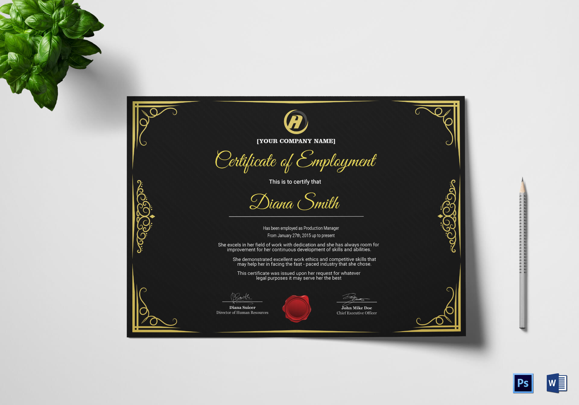 Qualified Employment Certificate Template For Commemorative Certificate Template