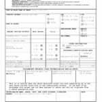Rabies Vaccination Certificate Template Lovely Oreo In Inside Rabies Vaccine Certificate Template