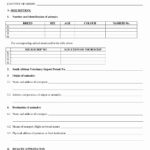 Rabies Vaccination Certificate Template Unique Buddy Within Certificate Of Vaccination Template