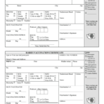 Rabies Vaccine Templates – Fill Online, Printable, Fillable Intended For Certificate Of Vaccination Template