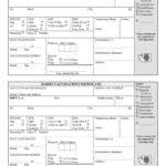 Rabies Vaccine Templates – Fill Online, Printable, Fillable With Dog Vaccination Certificate Template