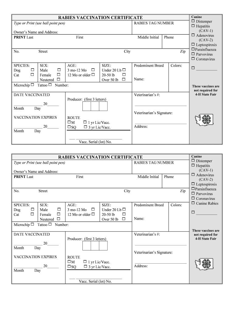 Rabies Vaccine Templates – Fill Online, Printable, Fillable With Dog Vaccination Certificate Template