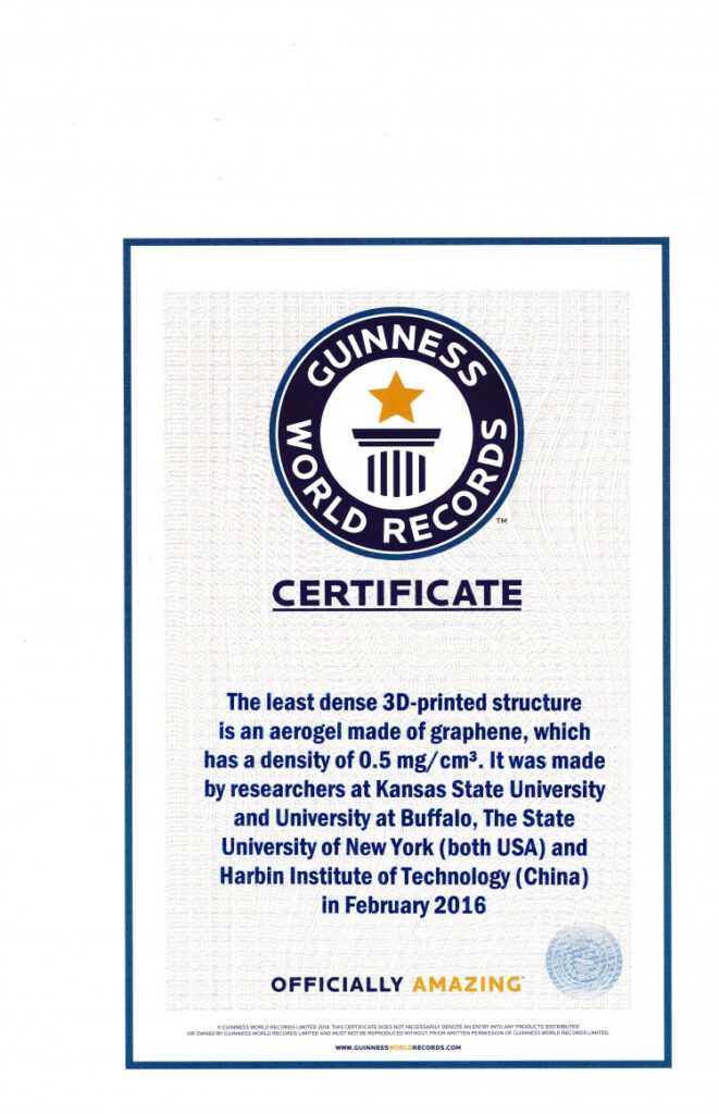 Guinness World Record Certificate Template