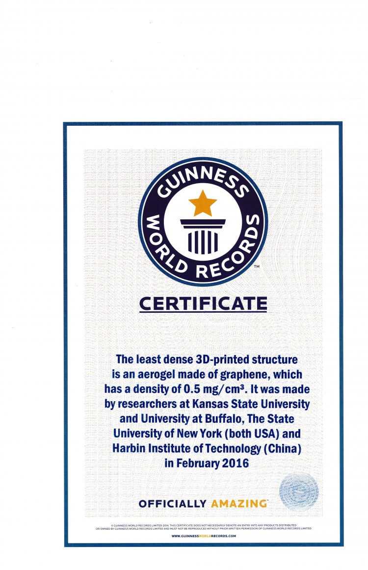 Record Holder Guinness World Records ™ Names Engineers Within Guinness World Record Certificate Template