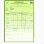 Report Card Generator Software, Student Report Card Inside Result Card Template