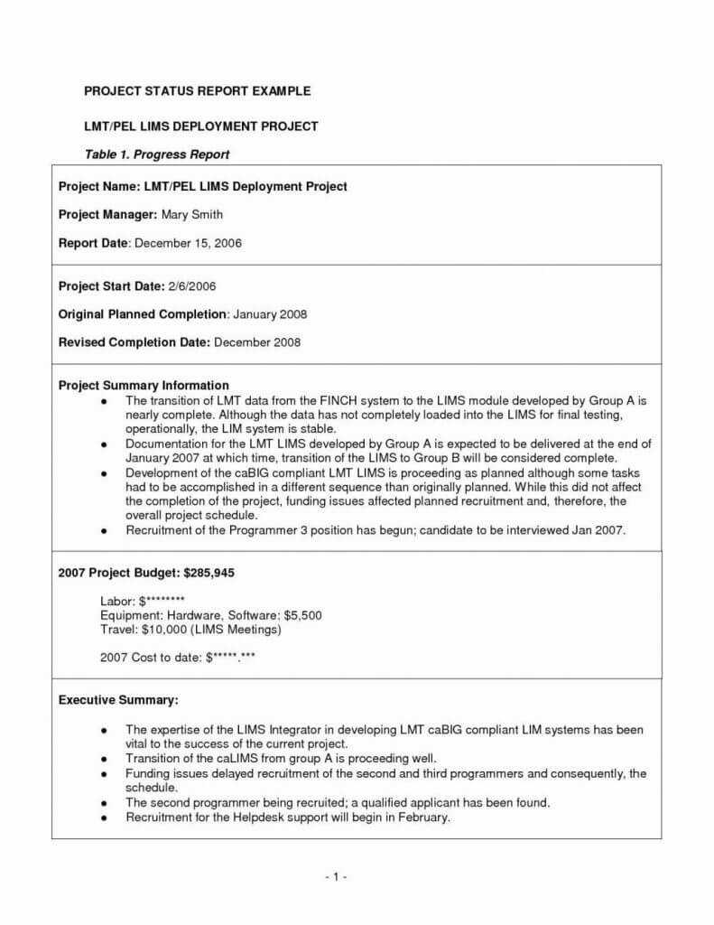 Report Project Management Final Template Chart Designs With Project Management Final Report Template