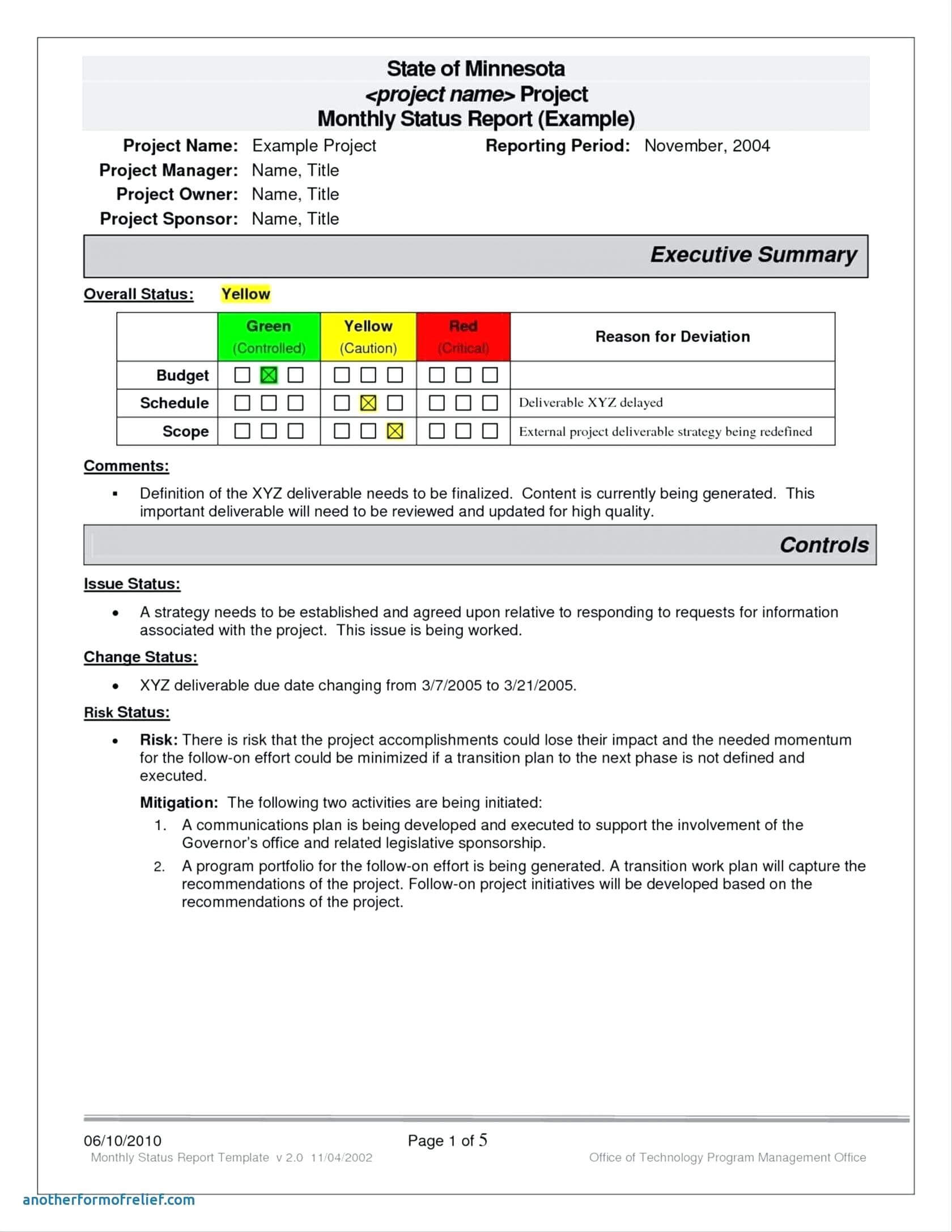 Report Summary Plate Project Management Audit Executive Within Test Summary Report Excel Template