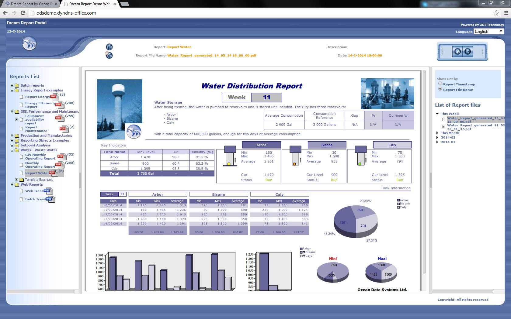 Report Templates And Sample Report Gallery – Dream Report Within Reporting Website Templates