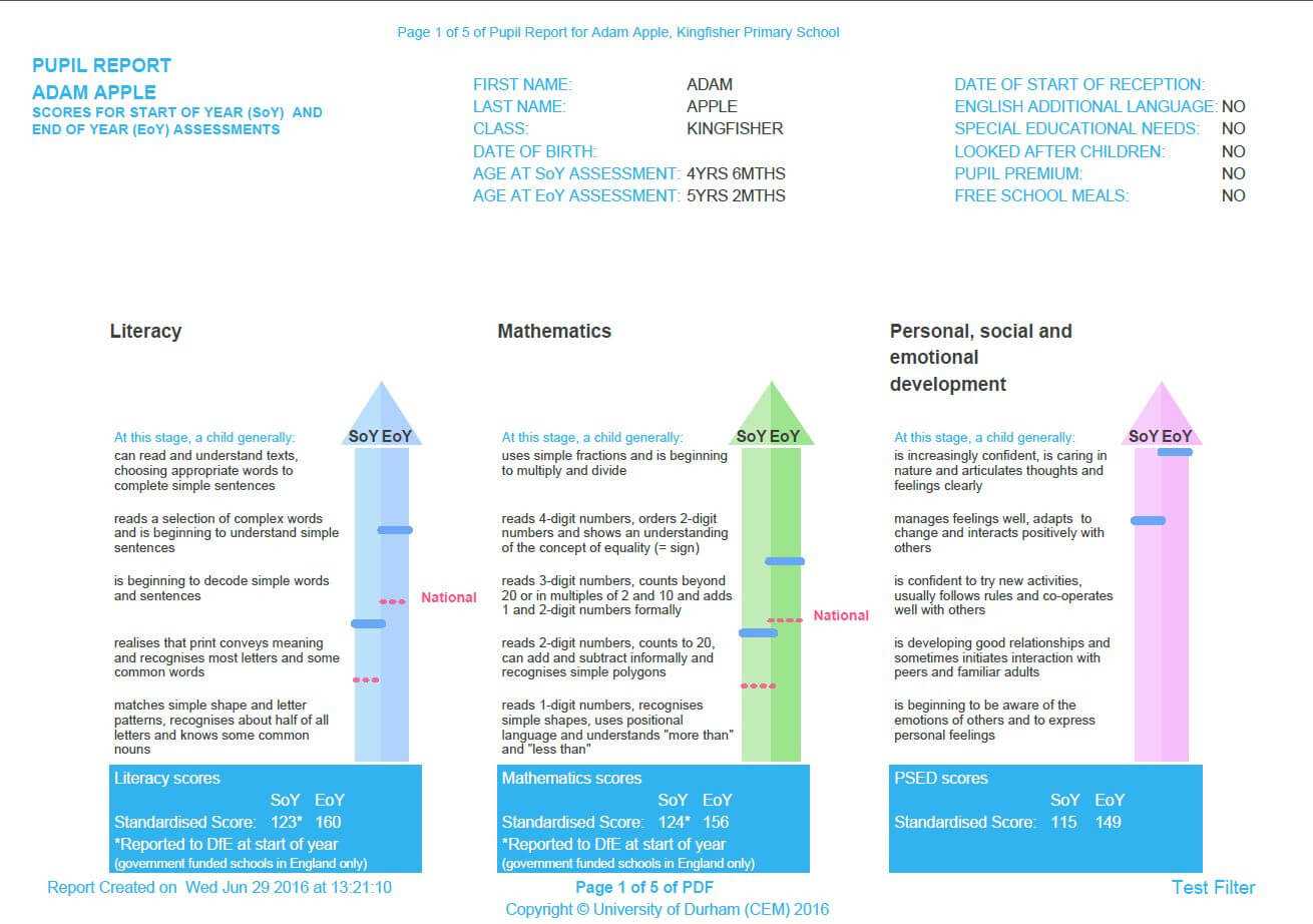 Reporting & Feedback – Cem With Regard To Pupil Report Template