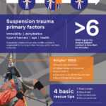 Rescue And Descent Devices | Fall Protection | 3M Worker Inside Fall Protection Certification Template