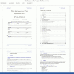 Risk Management Plan Template (Ms Word/excel) – Templates Within Risk Mitigation Report Template