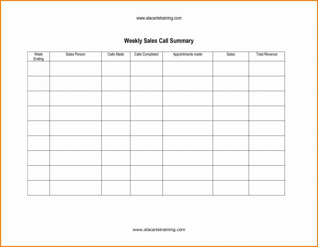 Sales Call Report Template Excel Sample Reports Picture Of For Daily Sales Call Report Template Free Download