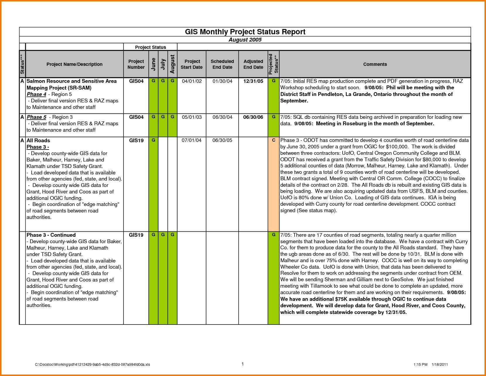 Sales Representative Report Template